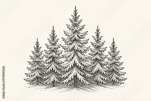Sketch of evergreen trees covered in snow for Christmas decoration  
