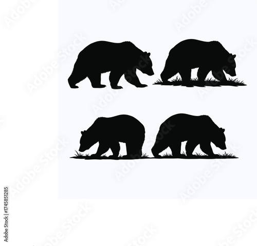 Two bears walking and one foraging a striking black silhouette
