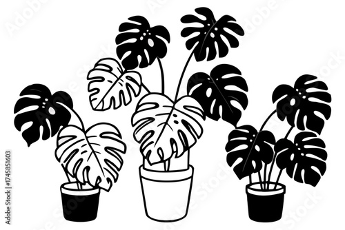 Minimalist Monstera Paradise Line Art Vector Set on White Background