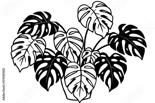 Minimalist Monstera Paradise Line Art Vector Set on White Background