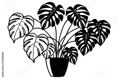 Minimalist Monstera Paradise Line Art Vector Set on White Background