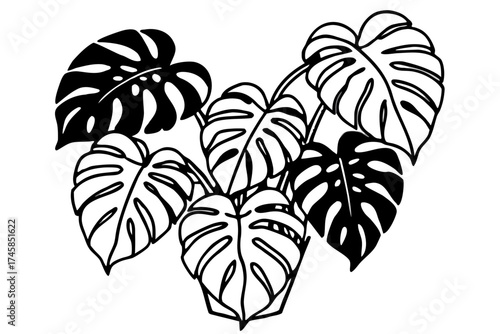 Minimalist Monstera Paradise Line Art Vector Set on White Background
