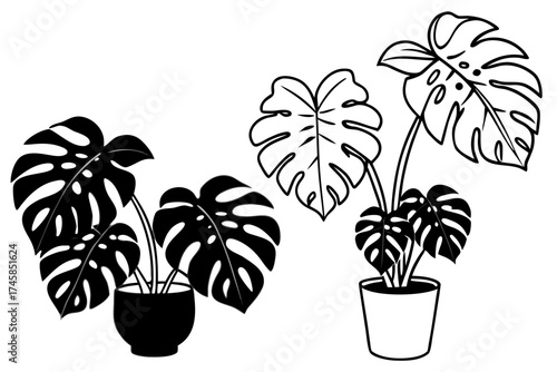 Minimalist Monstera Paradise Line Art Vector Set on White Background