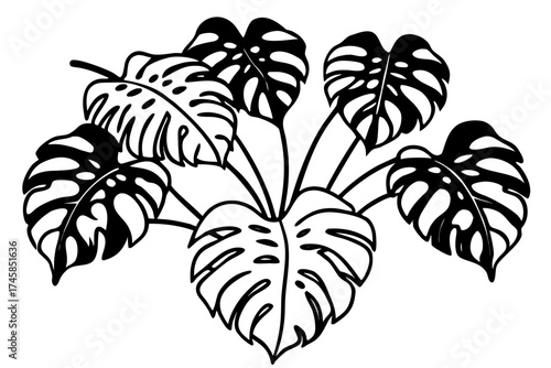 Minimalist Monstera Paradise Line Art Vector Set on White Background