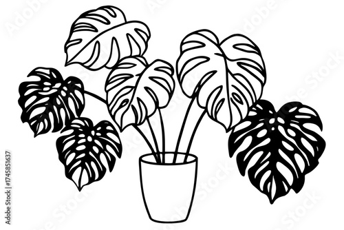 Minimalist Monstera Paradise Line Art Vector Set on White Background