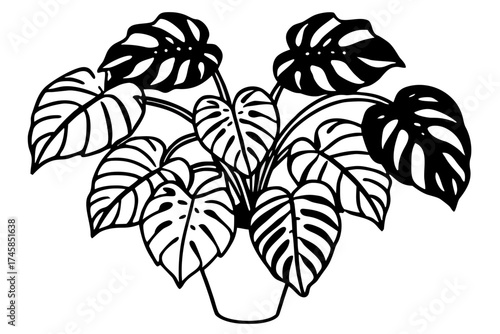 Minimalist Monstera Paradise Line Art Vector Set on White Background