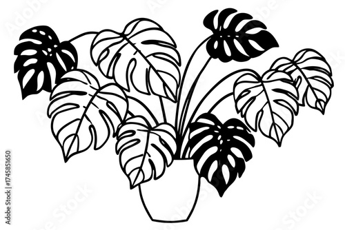 Minimalist Monstera Paradise Line Art Vector Set on White Background