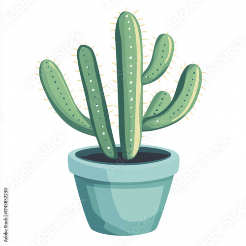 cactus in pot