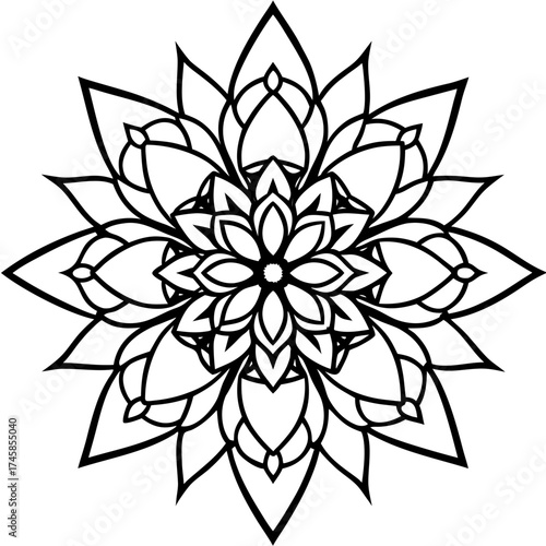 Floral Mandala Line Art Ornament Vector Illustration on White Background