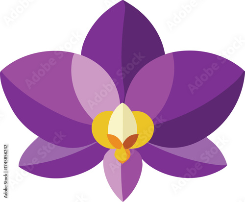 Macro Shot of Purple Orchid Petals | Orchid Flower Petals Macro Close Up