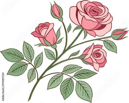 Watercolor Bouquet of Pink Roses with Green Leaves | Hand Painted Watercolor Roses Arrangement
