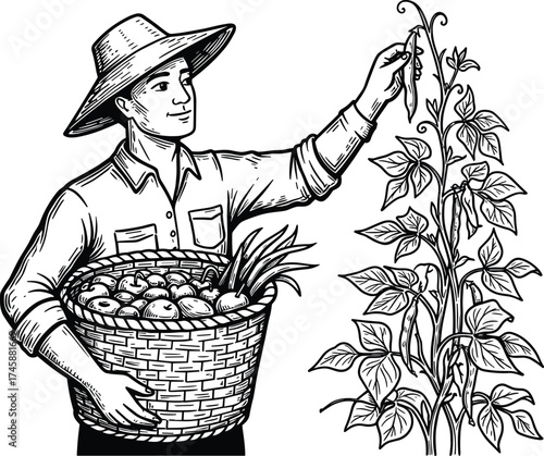 Silhouette farmer harvesting vegetables with basket, traditional agriculture worker picking crops, organic farming food production illustration