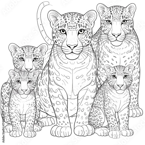 Line art of leopard family, ready for coloring