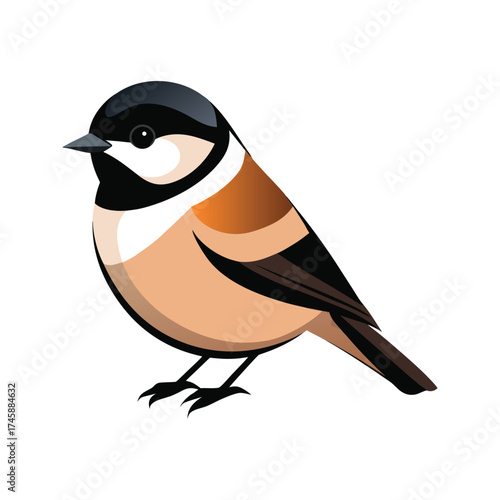 Black Capped Chickadee birds vector illustration