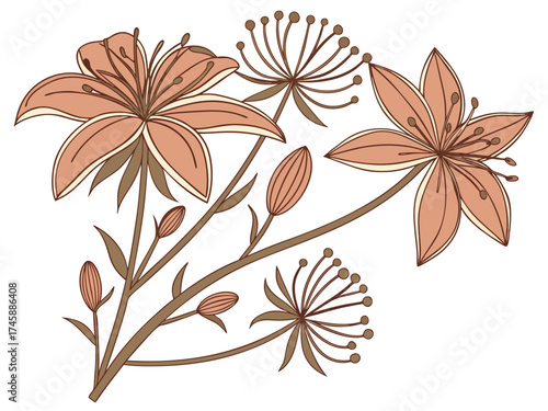 Dried flowers for crafts with delicate lilac flowers on white background. Charming dried flowers arrangement showcases unique blossoms and buds, perfect for creative projects and floral decorations.