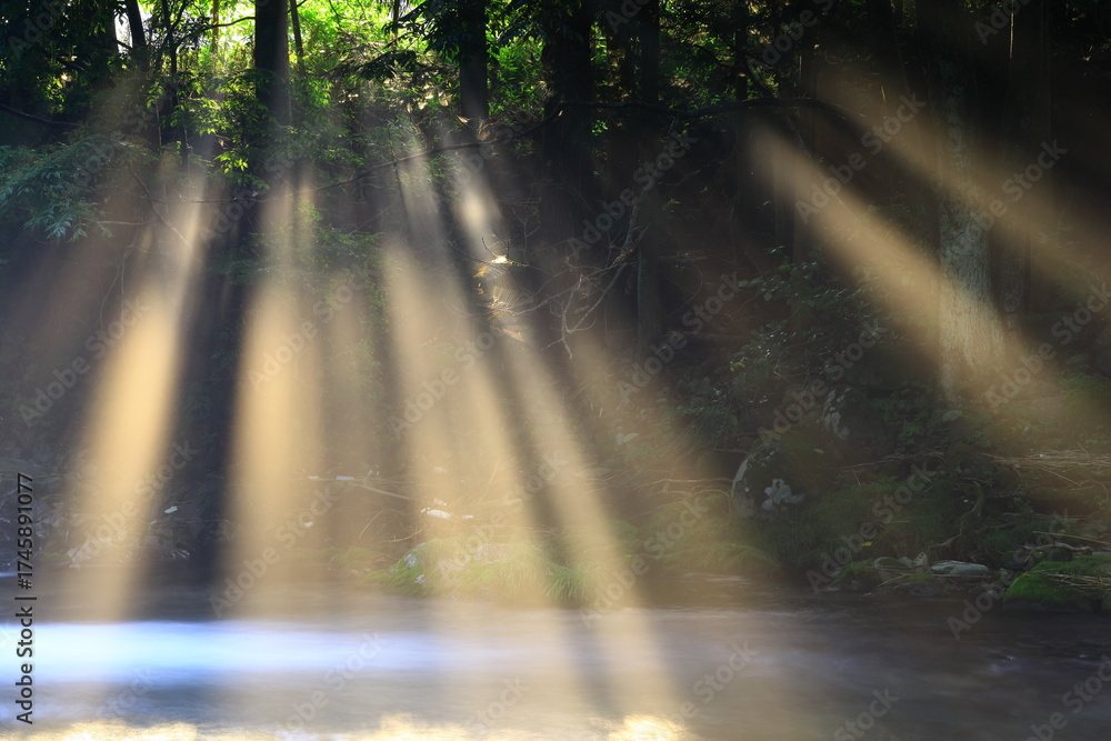 Obraz premium 光さす夏の渓流