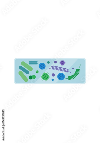 Diverse Microbes in a Petri Dish Vector Illustration
