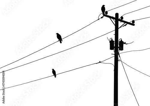 Silhouette utility pole, perched birds on wires, five bird silhouettes, crossarm and insulators, power line system, electricity distribution, black outline, voltage grid