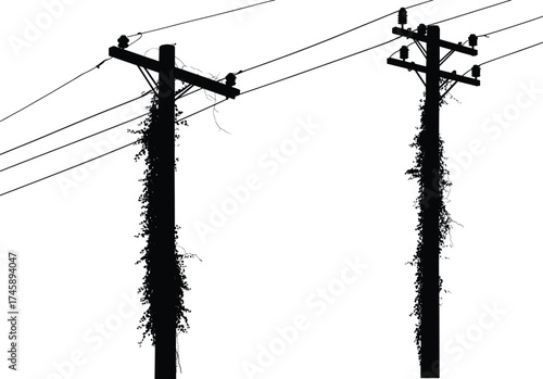 Silhouette utility poles, climbing vines, perched birds, power line network, electricity distribution, urban infrastructure, black outline, voltage grid, energy system