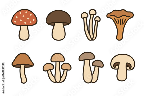Mushroom icon set. Colorful cartoon illustrations of different fungi species
