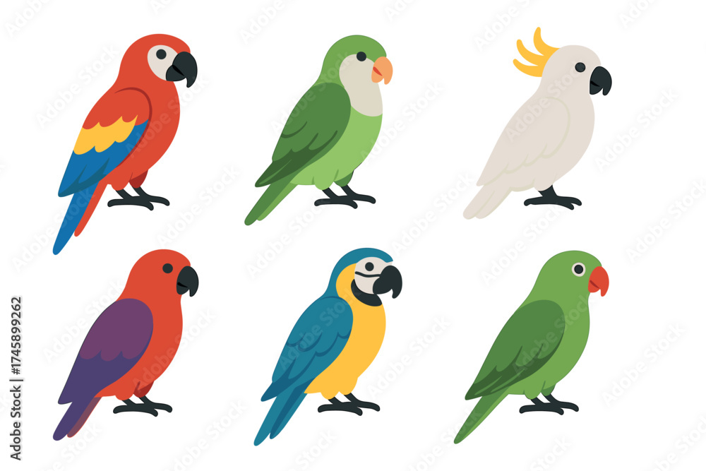 Obraz premium Parrot and tropical bird species flat vector set. Colorful collection of macaw, cockatoo, and parakeet illustrations.