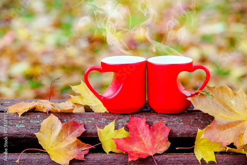 two heart shaped mugs with tea on a Park bench

