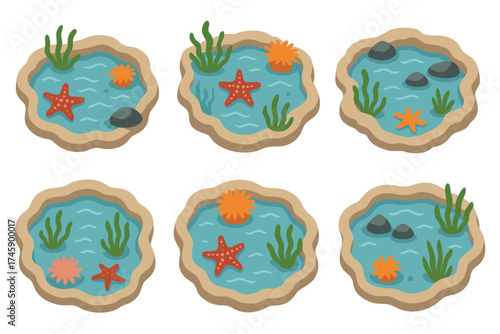 Tide pools with marine life vector illustration set. Isometric collection of rock pools with starfish and seaweed.