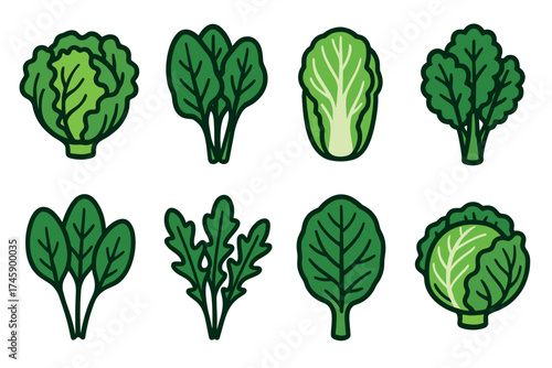 Leafy green vegetables vector icon set. Simple collection of various salad greens like lettuce, spinach, and kale.