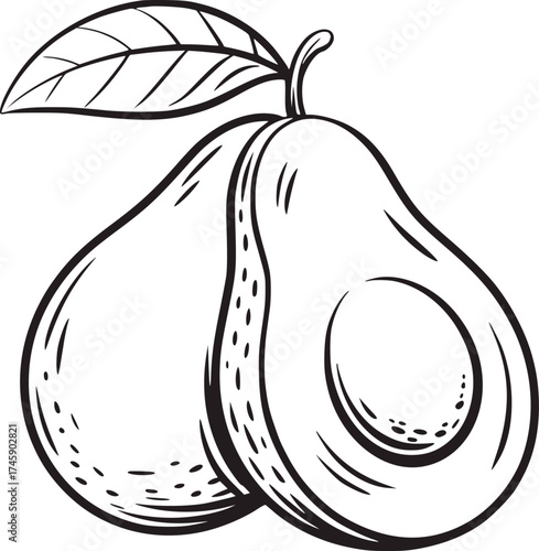 Black and white illustration of an avocado with a leaf fruit food