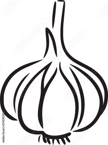 Black and white line drawing of a garlic bulb food ingredient