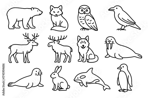 Outline illustrations of northern animals including bear, fox, owl, and more