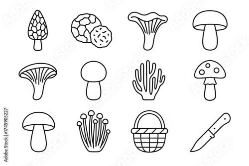 Collection of various mushroom outlines with basket and knife