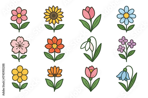 Colorful cartoon flowers collection with sunflower, tulip, daisy, snowdrop, and more