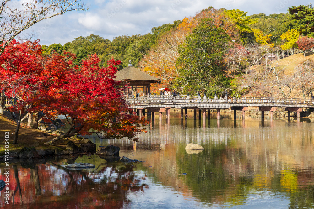 Fototapeta premium 日本の風景・秋 奈良公園 浮見堂と紅葉