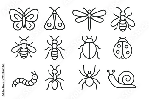 Outline icons of various insects including butterfly, dragonfly, bee, ladybug, snail