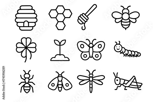 Set of insect and nature icons: bees, butterflies, ants, dragonflies, honeycomb, and more