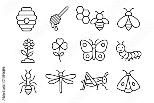 Insect line art set with beehive, bees, honeycomb, and various bugs
