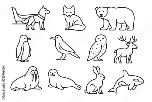 Outline illustrations of various animals including dog, fox, bear, and more