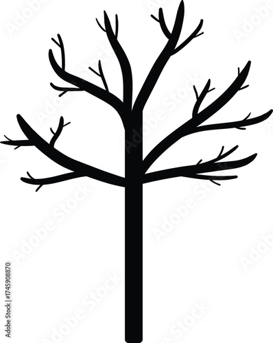 Silhouette of a leafless tree with bare branches
