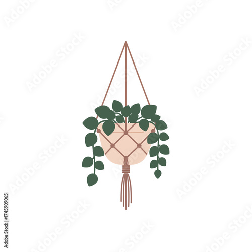 Simple Flat Illustration Hanging Plant with Macrame Hanger Decoration