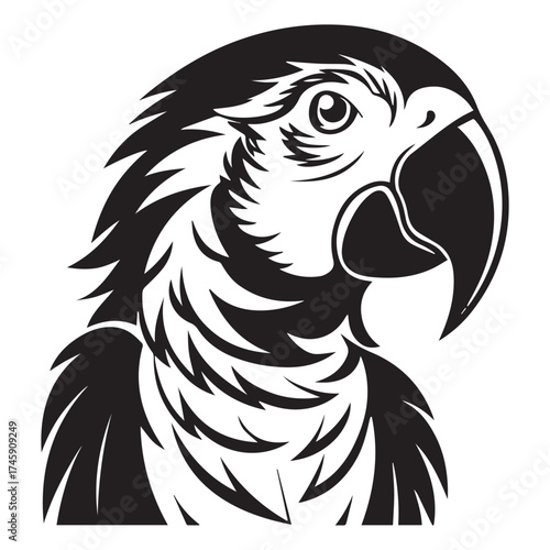macaw parrot  vector icon outline