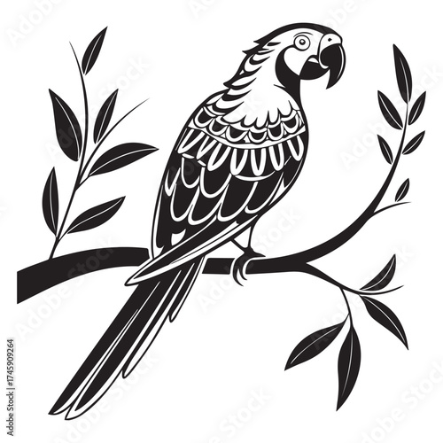 macaw parrot  vector icon outline
