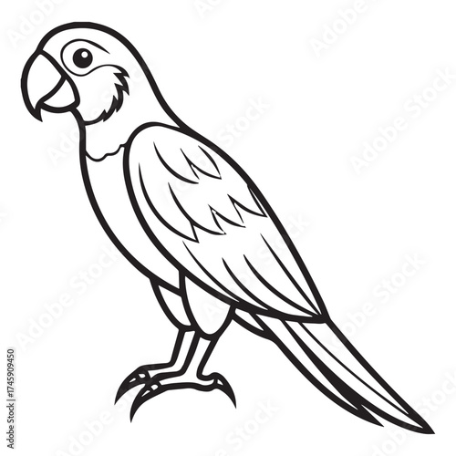 macaw parrot  vector icon outline