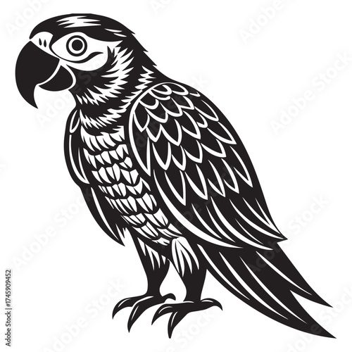 macaw parrot  vector icon outline