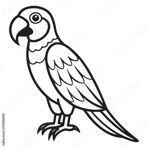 macaw parrot  vector icon outline