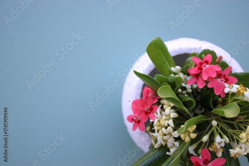 Vaso de cerâmica branco com flores do campo brancas e rosadas sobre fundo azul claro em espaço para composição, mockup. White ceramic vase with white and pink wildflowers on a light blue background