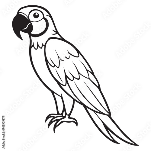 macaw parrot  vector icon outline