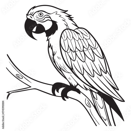 macaw parrot  vector icon outline