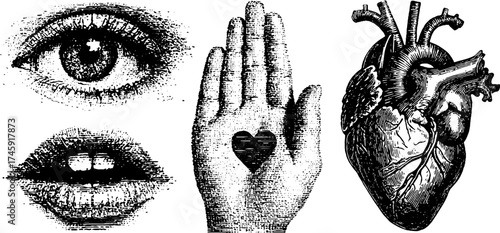 Highly detailed dotwork of five senses with eye, ear, mouth, hand, and heart for artistic design