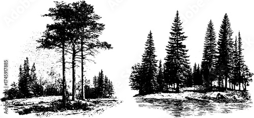 Serene landscape with pine trees and lake in vintage dotwork style